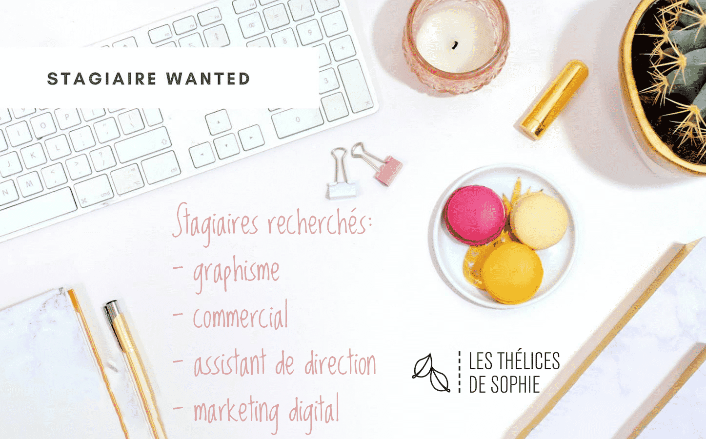Stagiaires Wanted