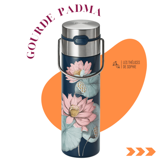 Gourde isotherme pour thé en acier inoxydable avec double paroi et filtre. Parfaite pour conserver vos boissons chaudes ou froides en déplacement
