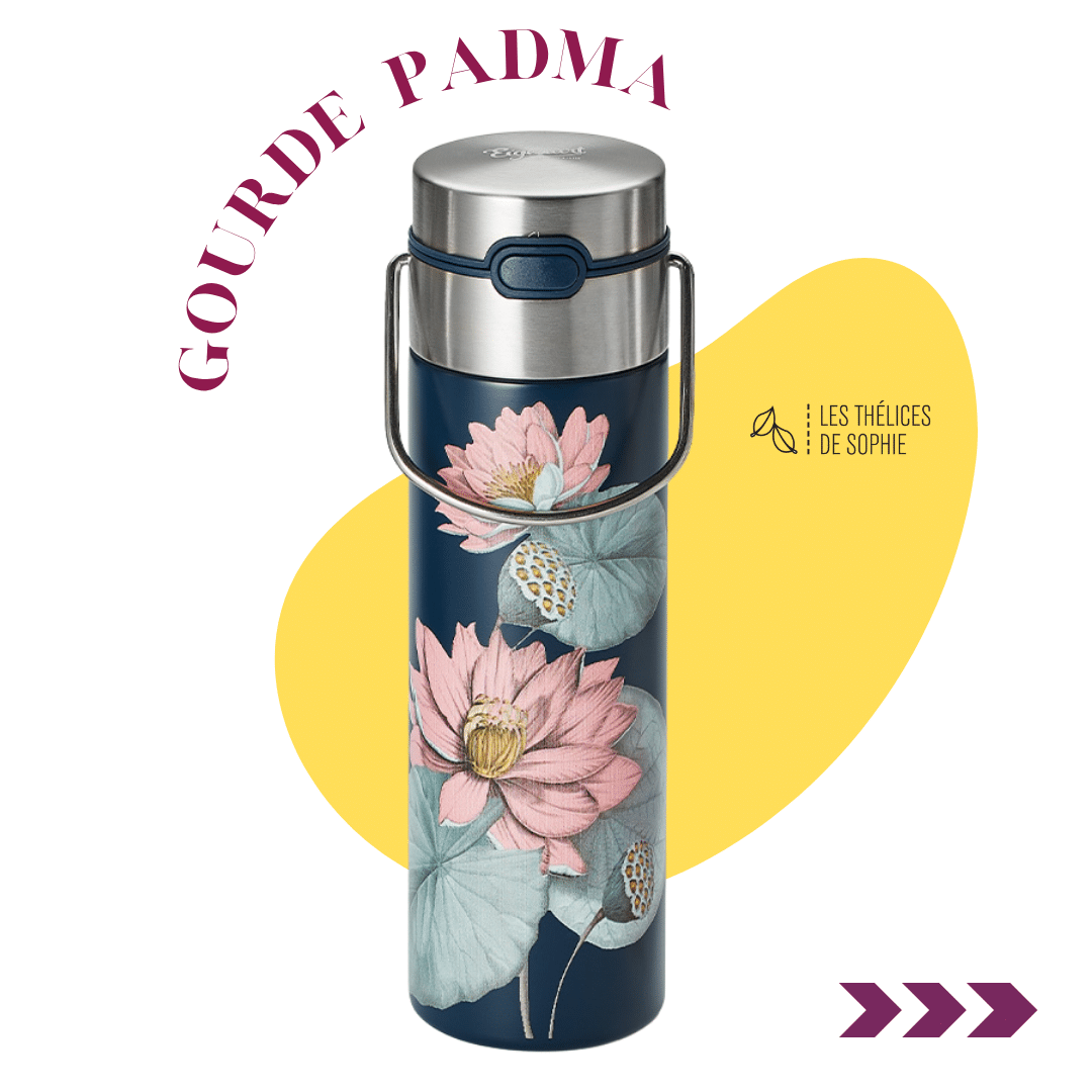 Gourde de Voyage PADMA 50cl