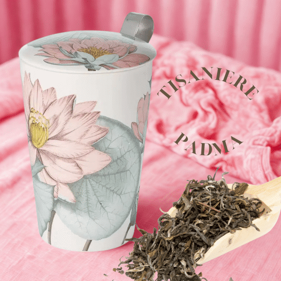 Élégante tisanière double paroi en porcelaine inspirée du lotus, avec filtre inox et couvercle assorti.