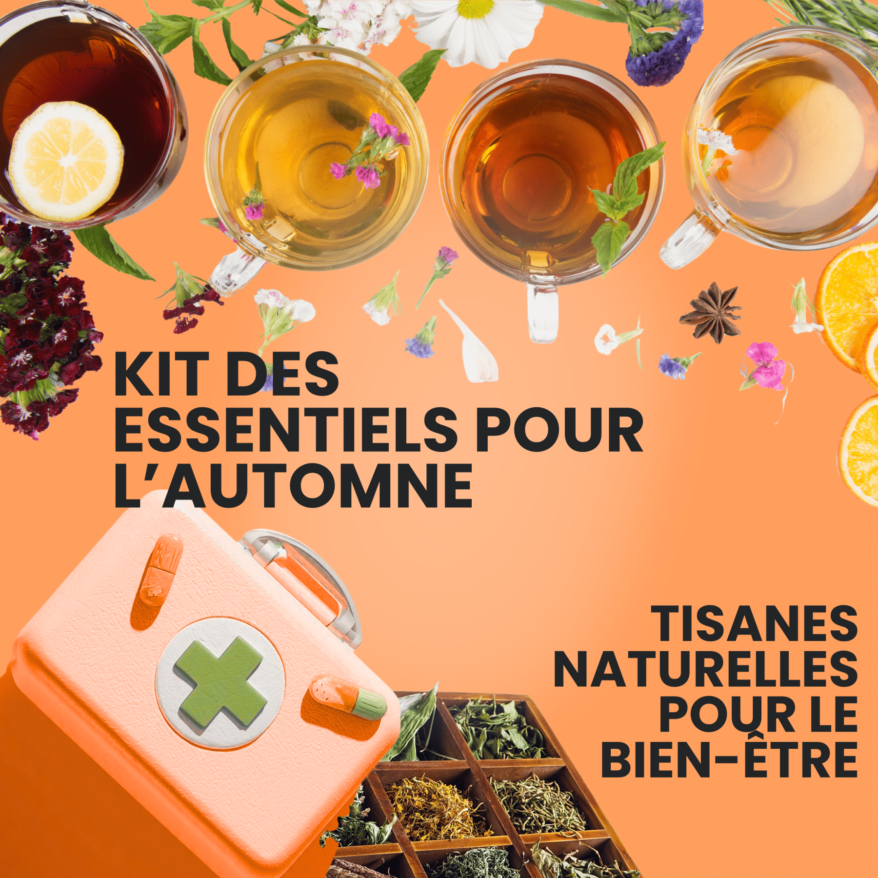 Kiet bien-être naturel pour l’automne 🌿 5 tisanes essentielles contre rhume, fatigue et insomnie. Le rituel santé par Les Thélices de Sophie.